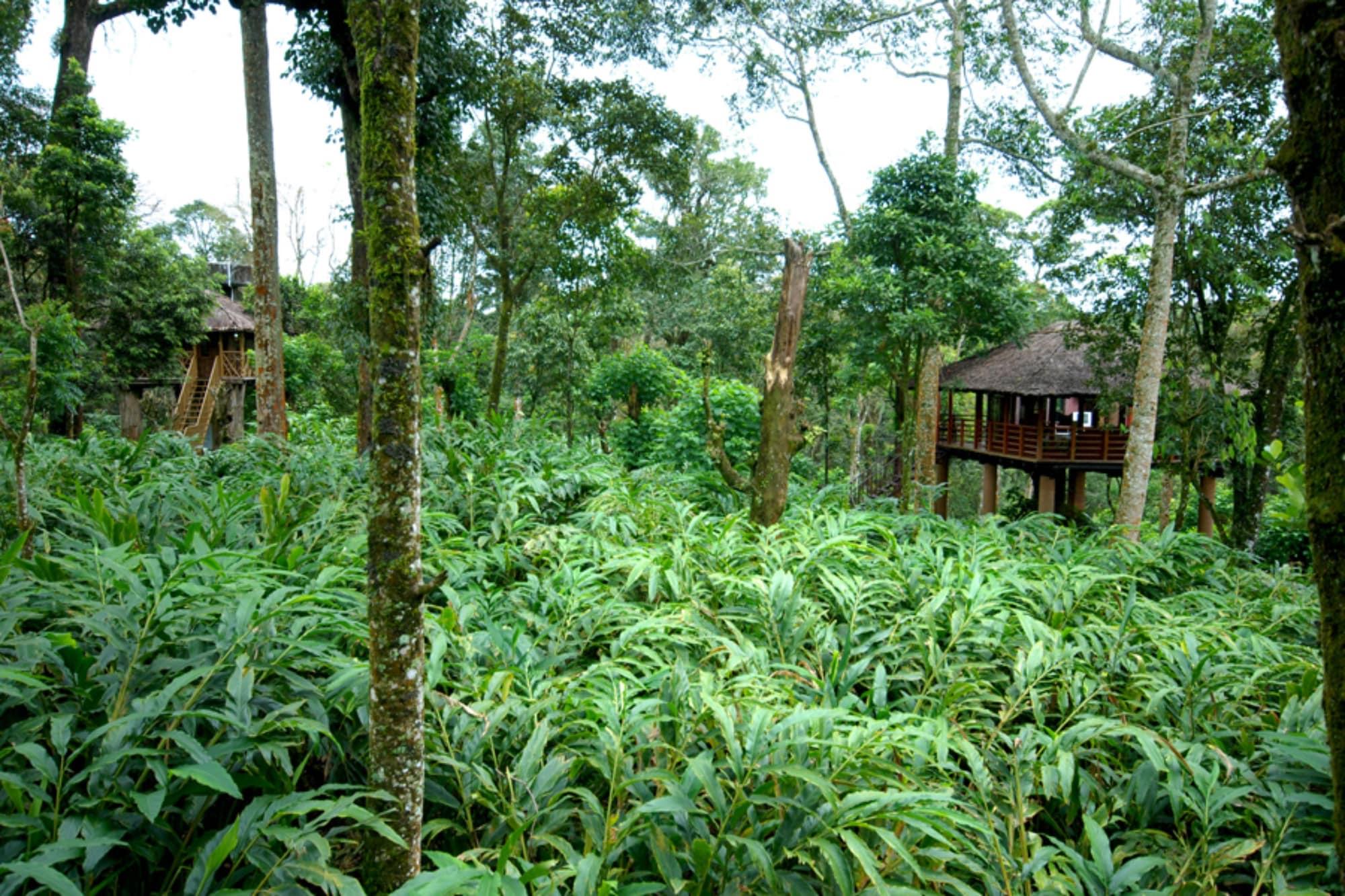 Carmelia Haven Resort Thekkady Exteriör bild