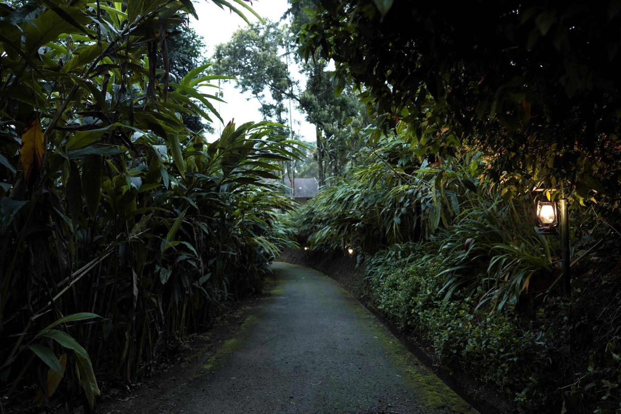 Carmelia Haven Resort Thekkady Exteriör bild