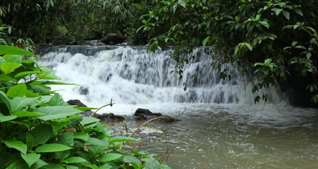 Carmelia Haven Resort Thekkady Exteriör bild